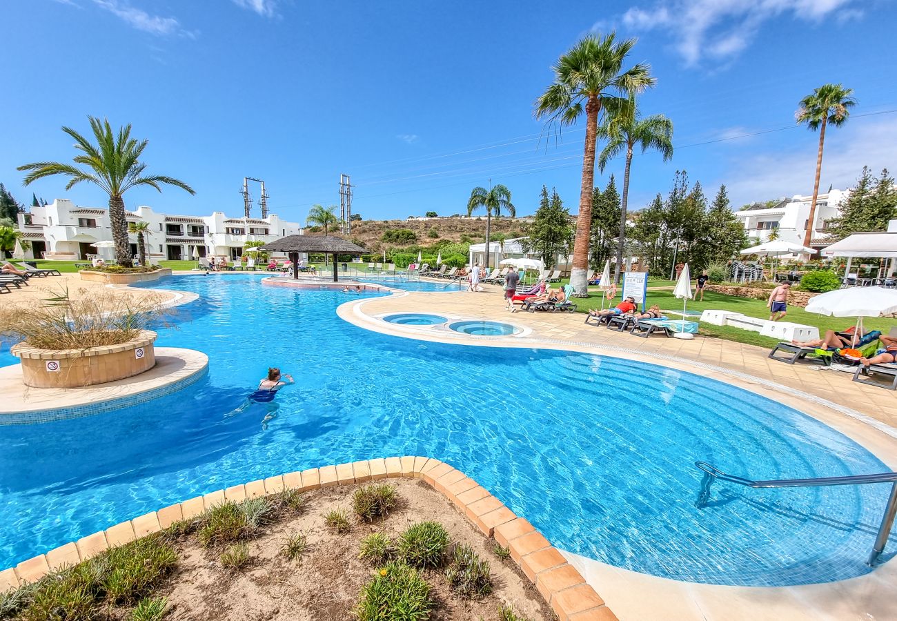 Appartement in Albufeira - #121 Aconchegante T1 em Albufeira by Home Holidays