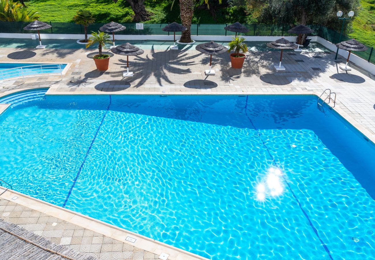 Appartement in Albufeira - #319 Cozy T1 Apartment | Pool & Relaxation