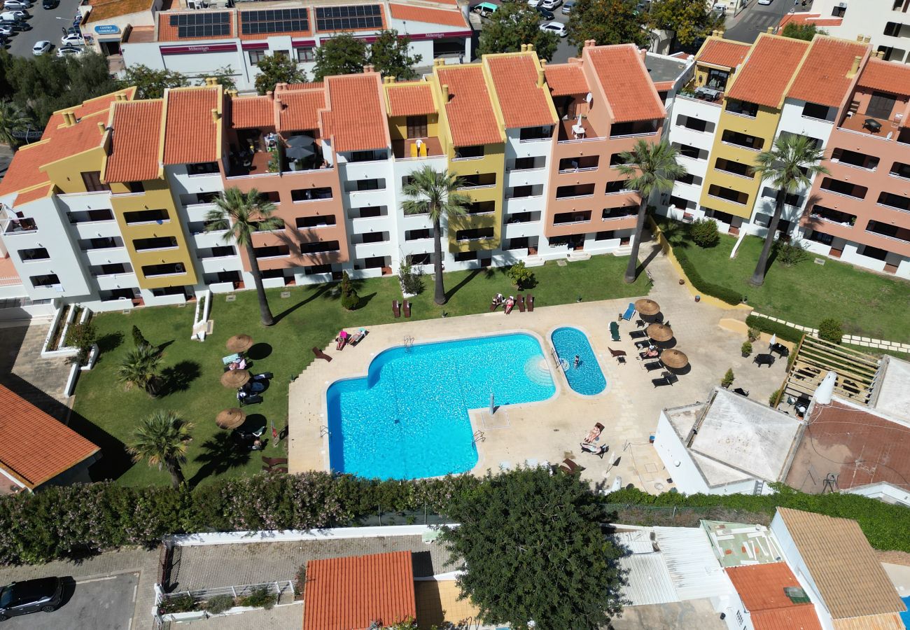Studio in Albufeira - #342 Cozy Studio in Belavista | Pool & Central