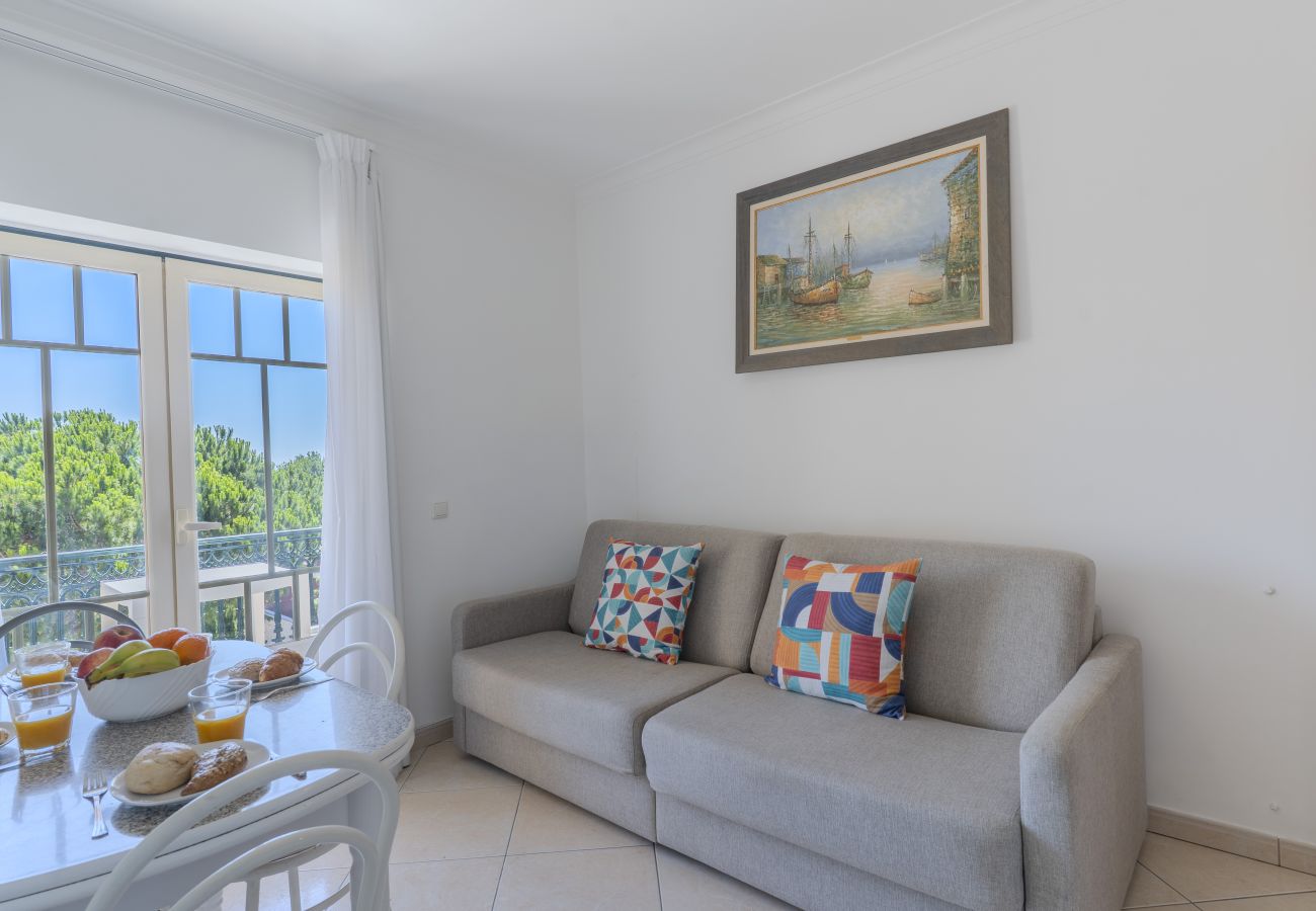 Appartement in Albufeira - #396 Perfect Holiday Apartment Near the Beach