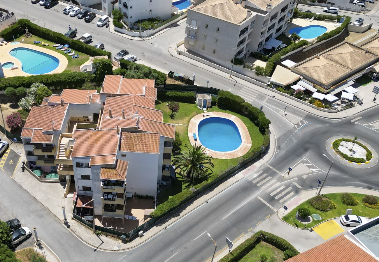 Appartement in Albufeira - #400 Central Albufeira Oasis | 1BR & Pool