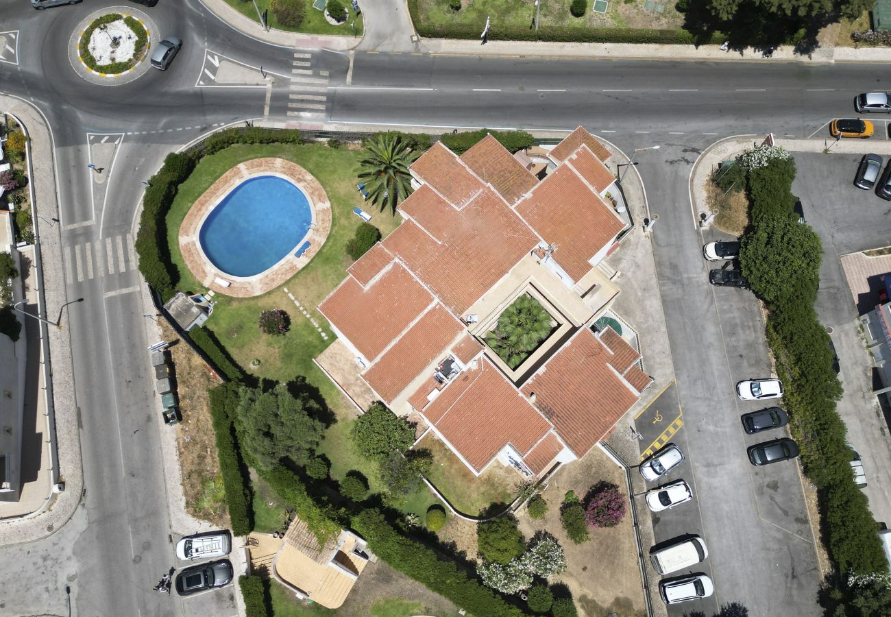 Appartement in Albufeira - #400 Central Albufeira Oasis | 1BR & Pool