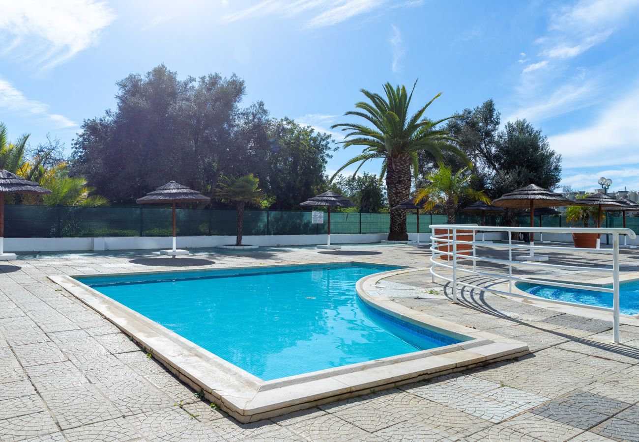 Apartamento en Albufeira - #319 Cozy T1 Apartment | Pool & Relaxation