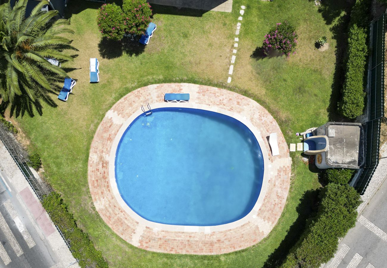 Apartamento en Albufeira - #367 Cozy Orion Apartment | Pool & Balcony