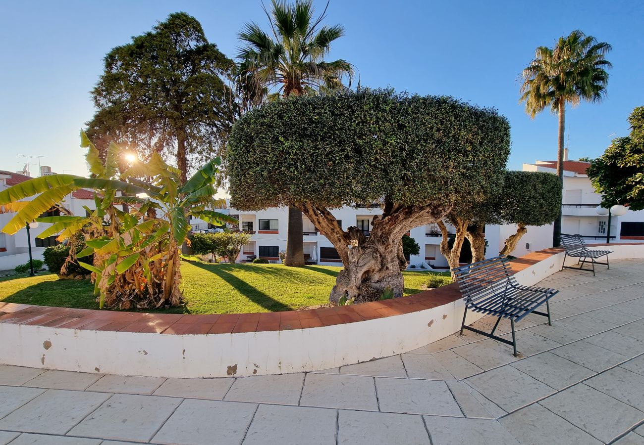Apartamento en Albufeira - #404 Bright Family Apartment | Pool in Albufeira