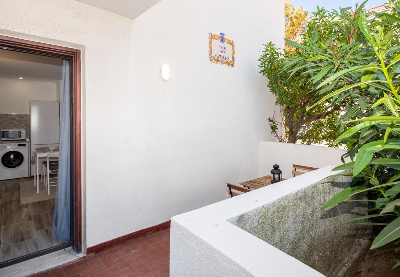 Studio à Albufeira - #27 Luxury Studio In The Heart of the city