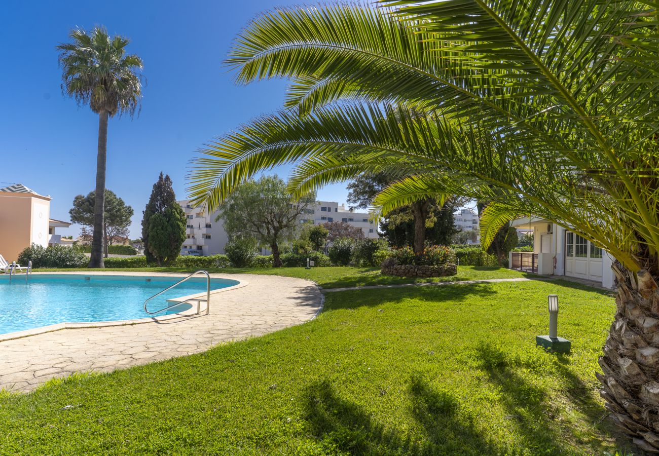 Appartement à Albufeira - #363 Casablanca Apartment | Pool & Comfort
