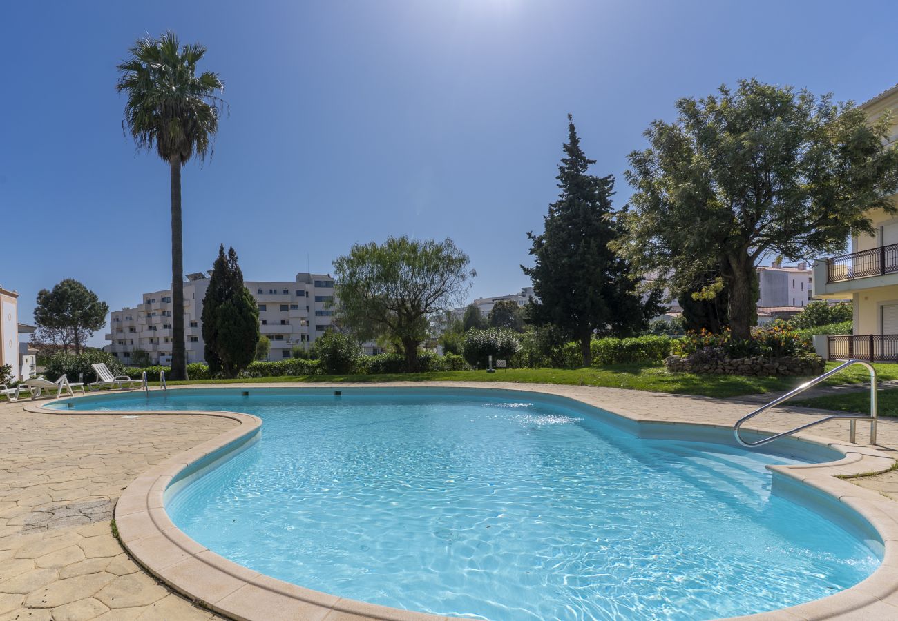 Appartement à Albufeira - #363 Casablanca Apartment | Pool & Comfort