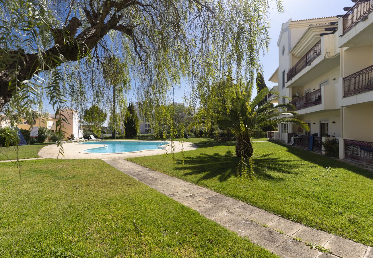 Appartement à Albufeira - #363 Casablanca Apartment | Pool & Comfort