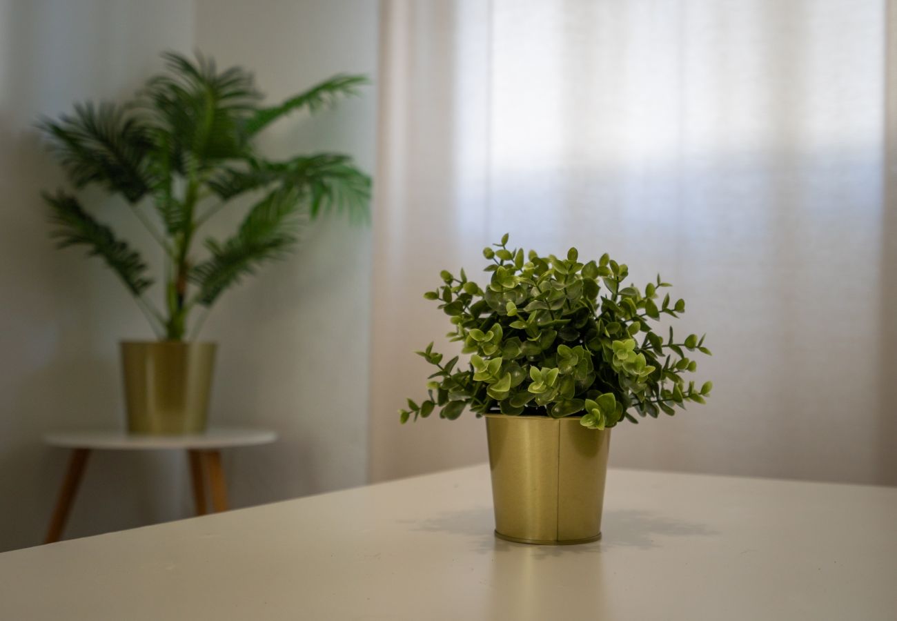 Apartamento em Albufeira - #002 Cozy Flat in Albufeira | Central Stay