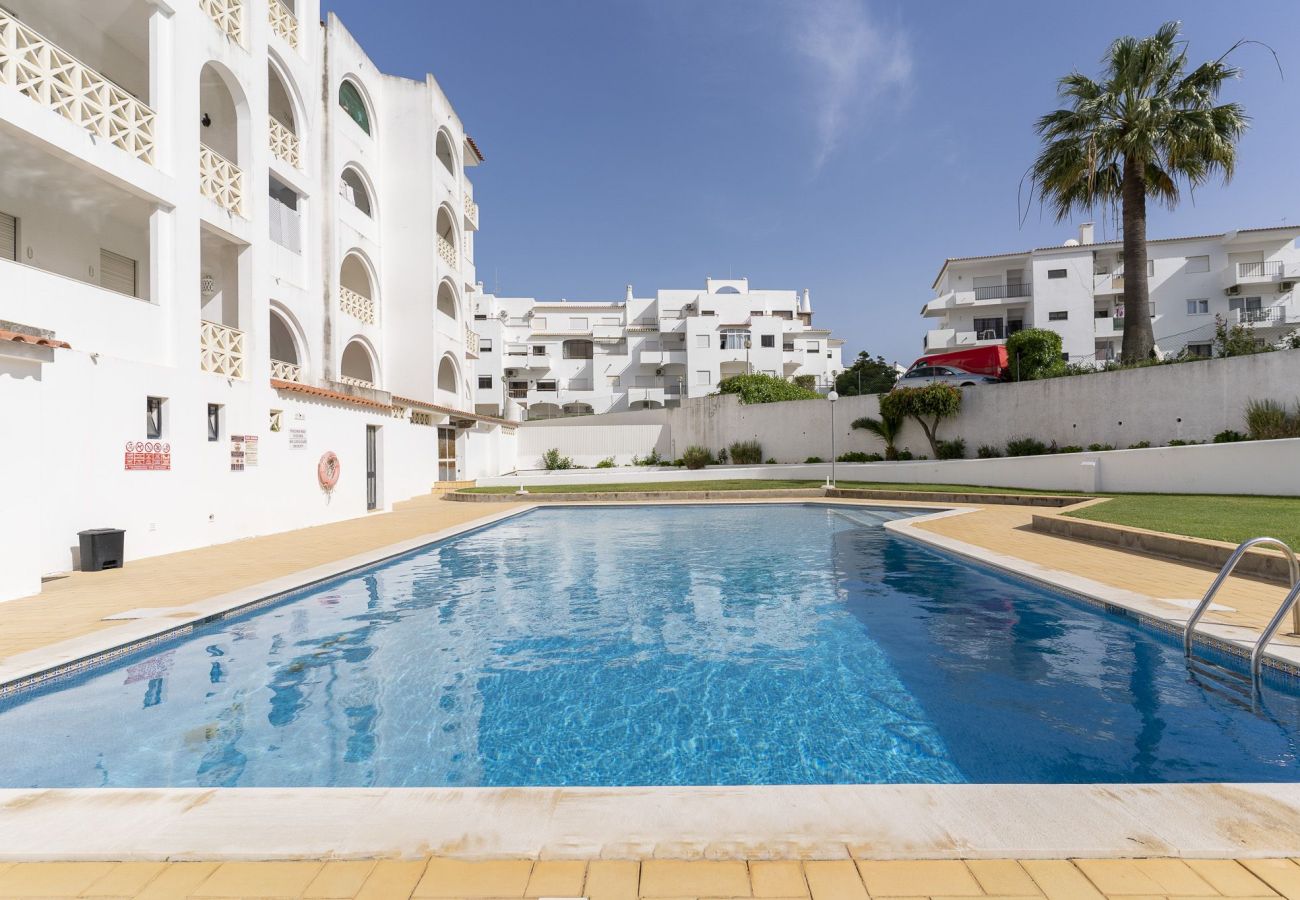 Apartamento em Albufeira - #376 Cozy Relaxing Getaway | Peaceful