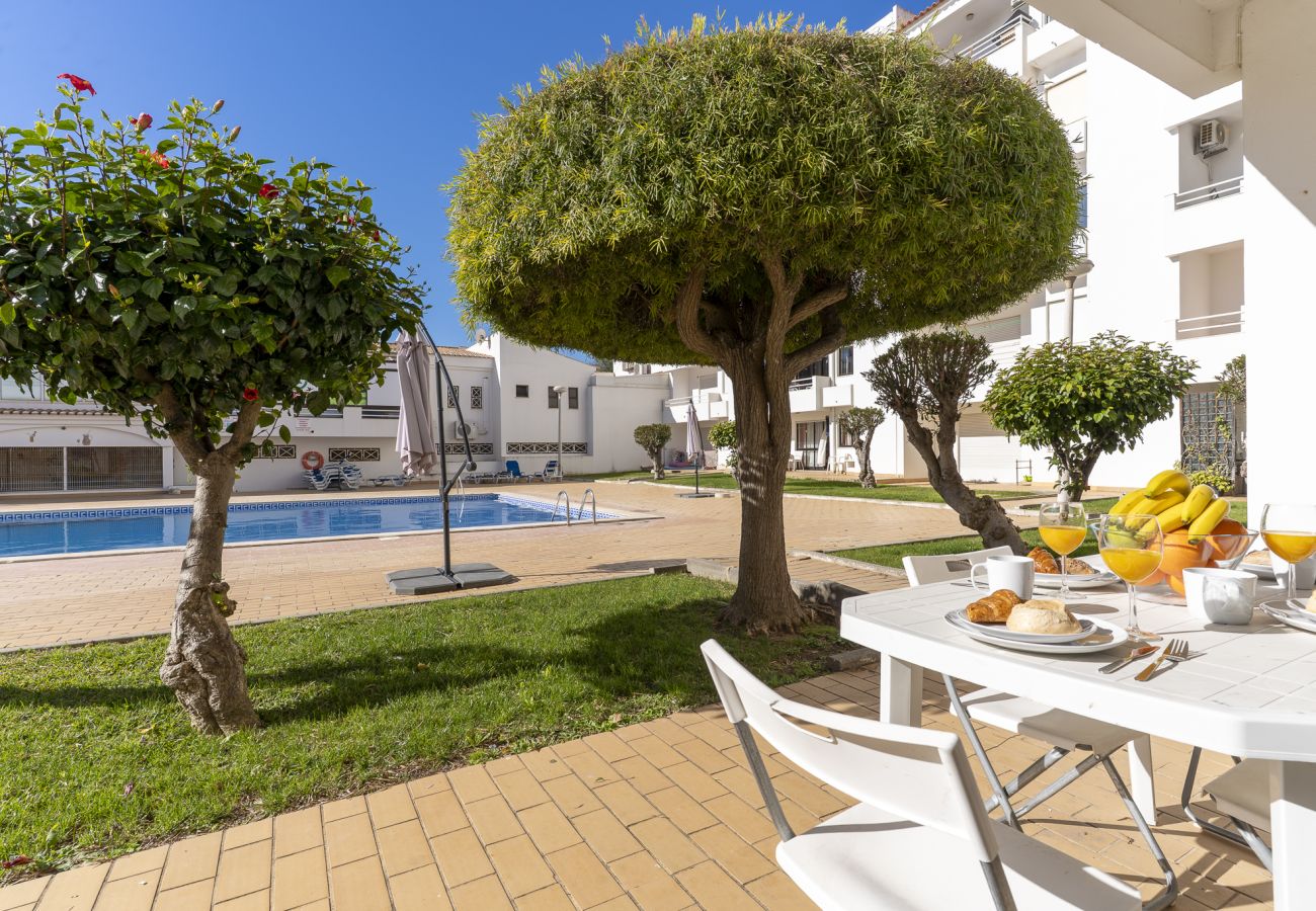 Apartment in Albufeira - #022 2BR Velamar | Pool & Sunny Terrace