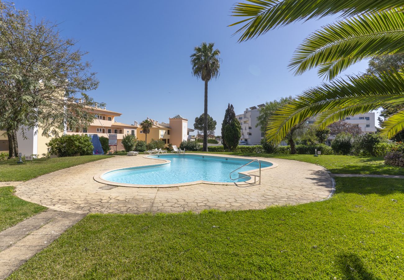 Apartment in Albufeira - #363 Casablanca Apartment | Pool & Comfort