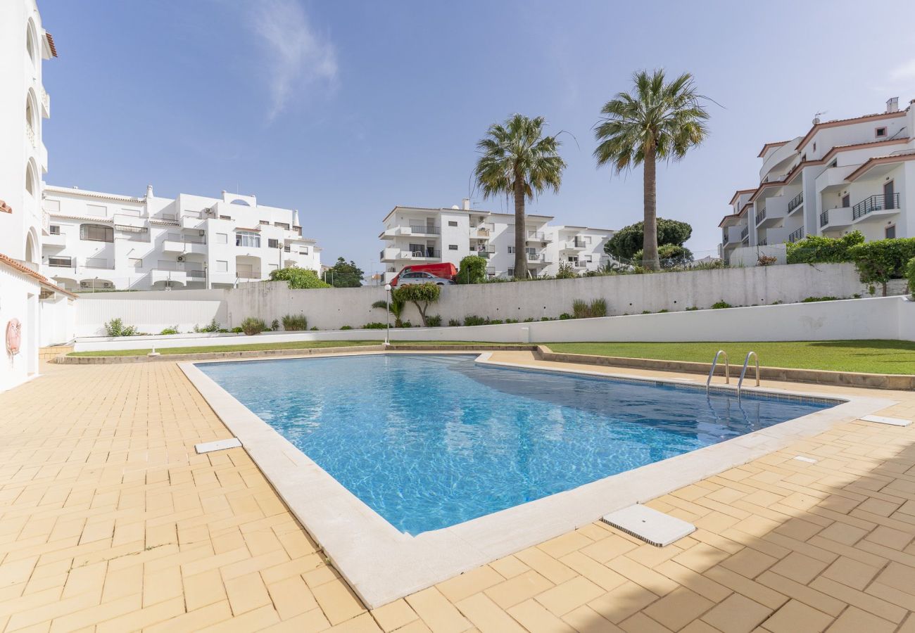 Apartment in Albufeira - #376 Cozy Relaxing Getaway | Peaceful