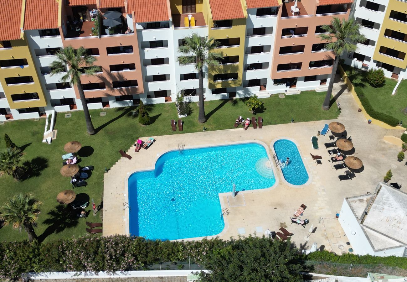 Studio in Albufeira - #342 Cozy Studio in Belavista | Pool & Central