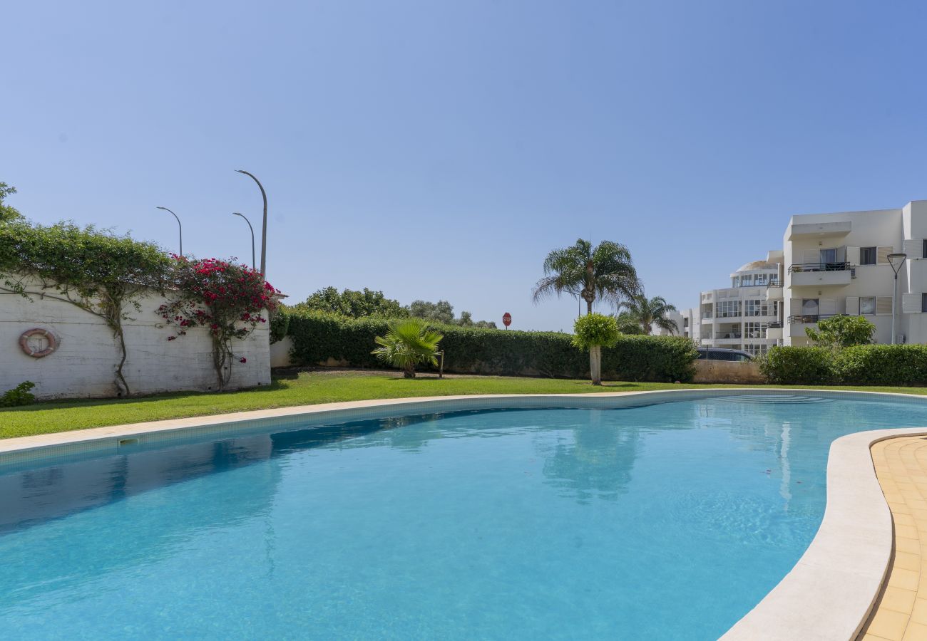 Apartment in Albufeira - #410 Sunny Lemon Apartment | Albufeira